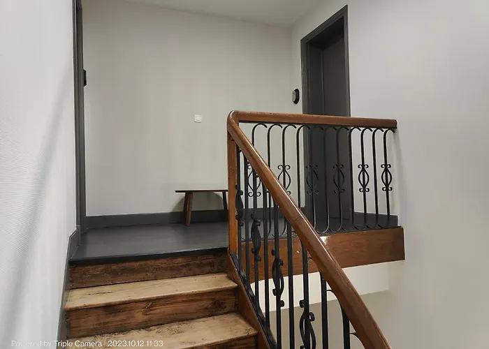 Le Cote Jardin - Fibre - Clim - Centre-ville Albi