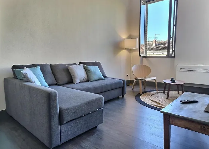 Le Cote Jardin - Fibre - Clim - Centre-ville Albi